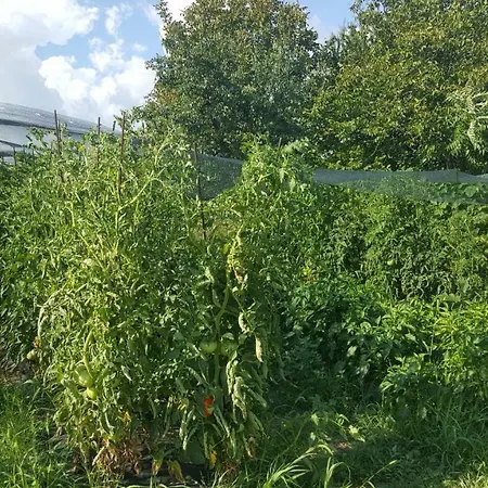 Vendégház Malavi Krasen! Comfort&clean! Krasen