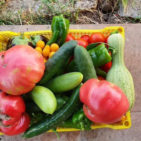 Malavi Krasen! Comfort&clean! 3*